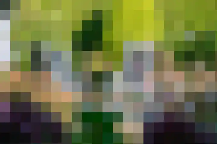 Het Fort 53 Waalre thumbnail 32