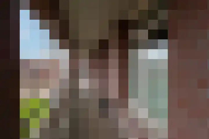 Het Fort 58 Waalwijk thumbnail 13
