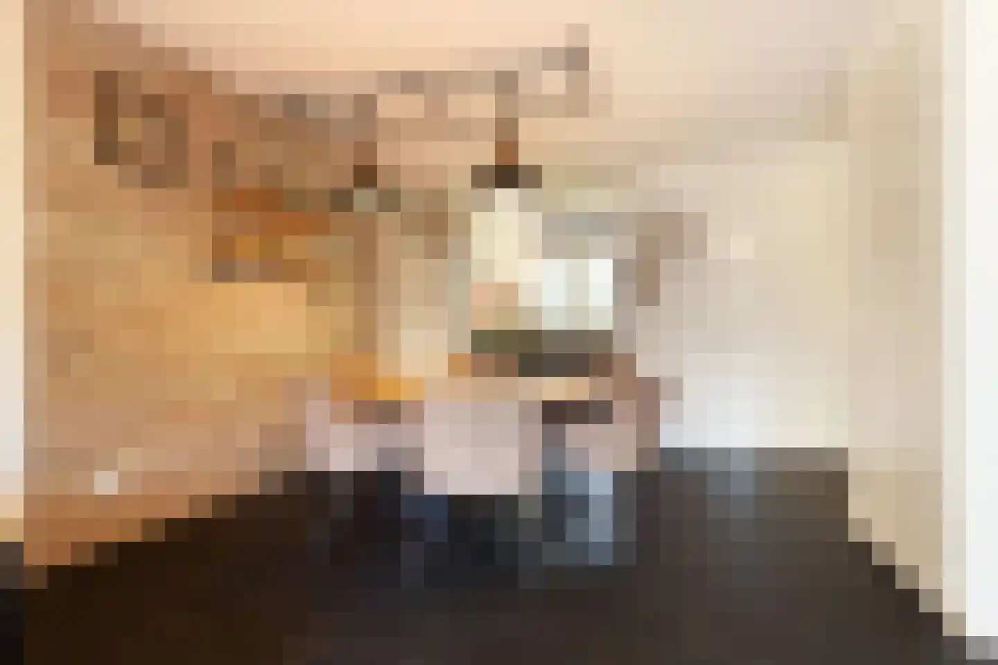Het Fort 85 Waalwijk thumbnail 15