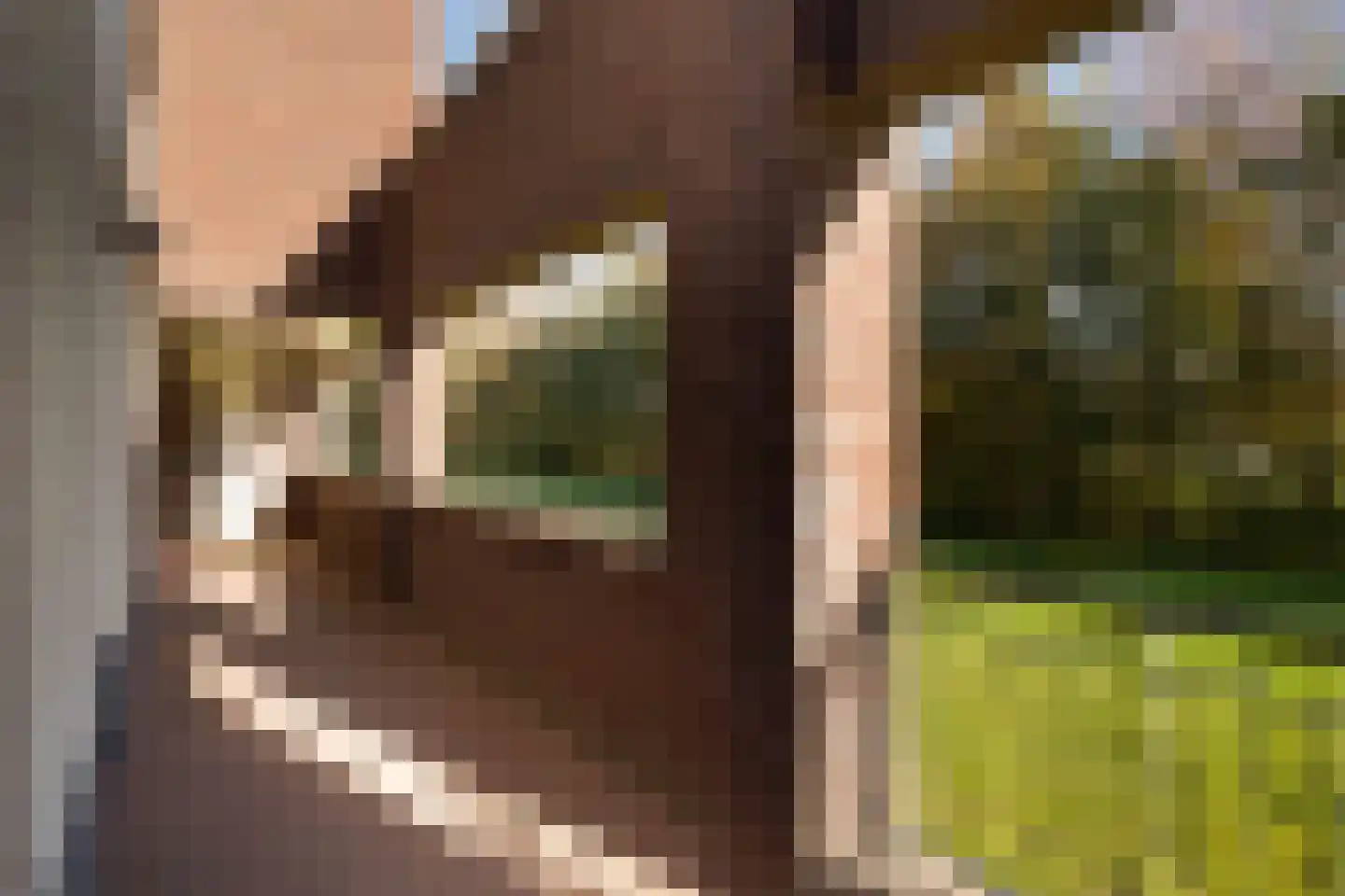 Het Fort 85 Waalwijk thumbnail 8
