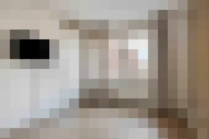 Het Fort 89 Waalwijk thumbnail 20