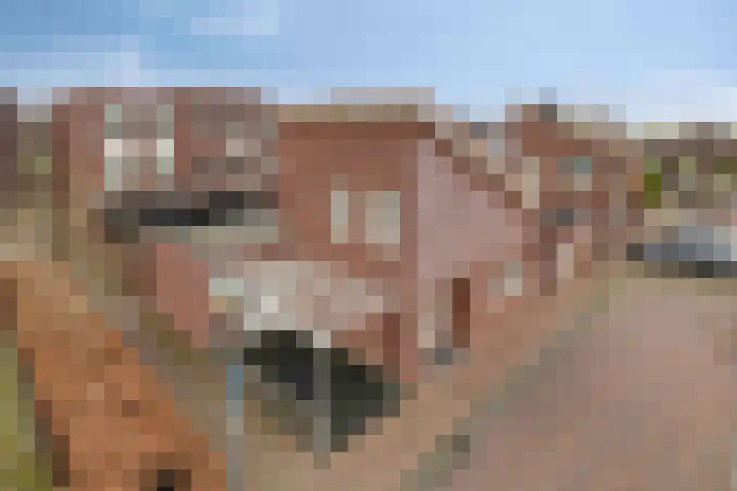 Het Fort 89 Waalwijk thumbnail 32