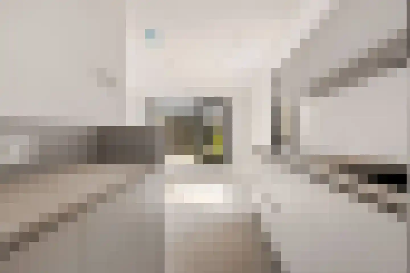 Het Fortuin 9 Zwolle thumbnail 11
