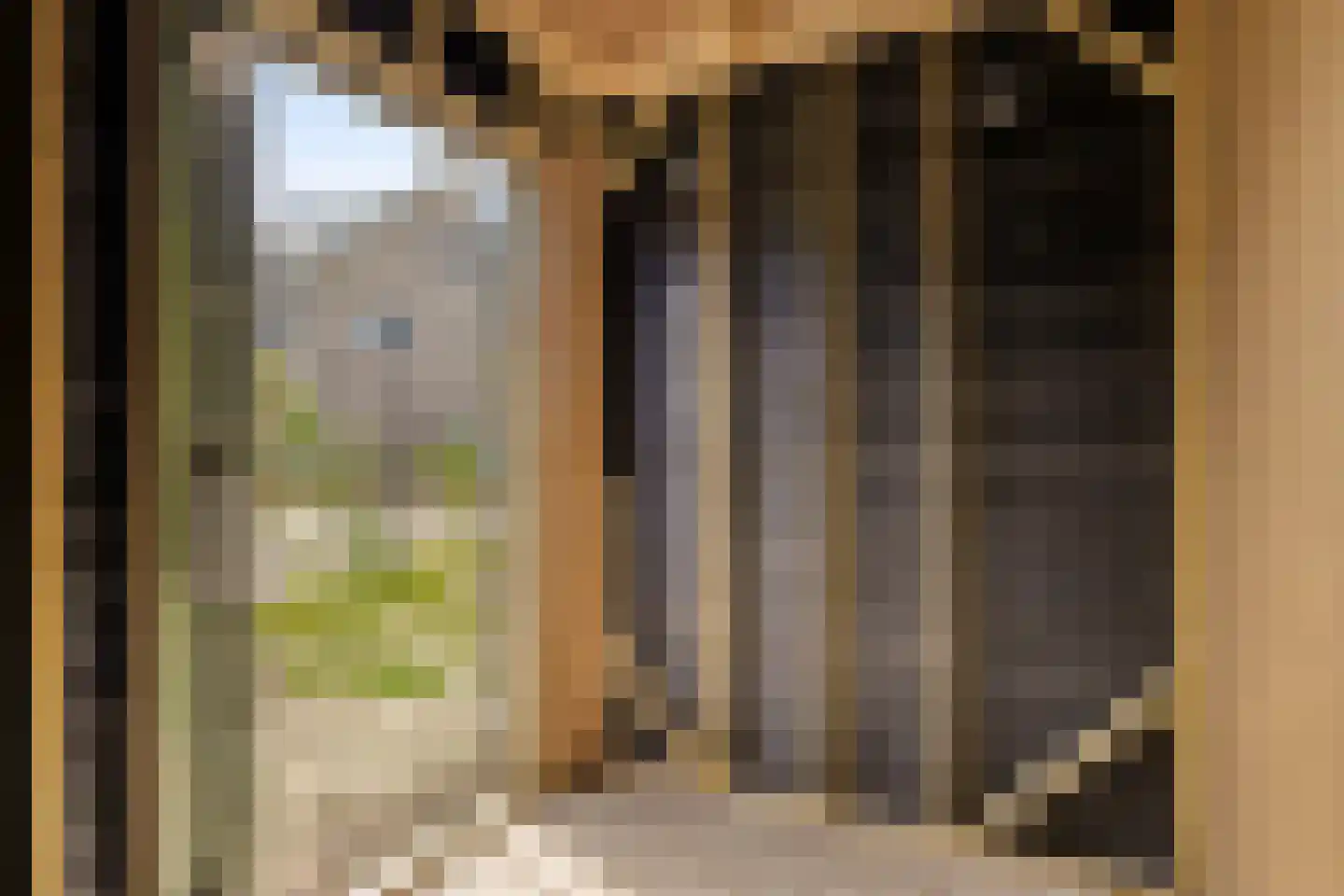 Het Fortuin 9 Zwolle thumbnail 32