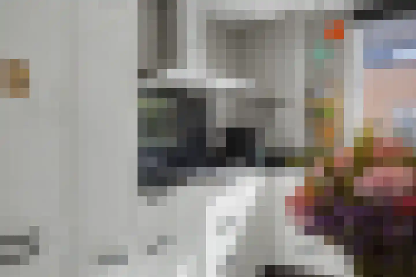Het Fortuyn 4 Hoogland thumbnail 15