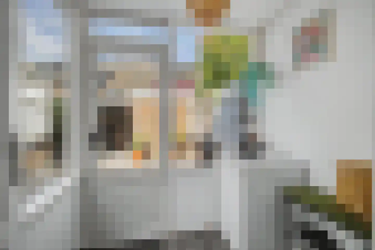 Het Fortuyn 4 Hoogland thumbnail 18