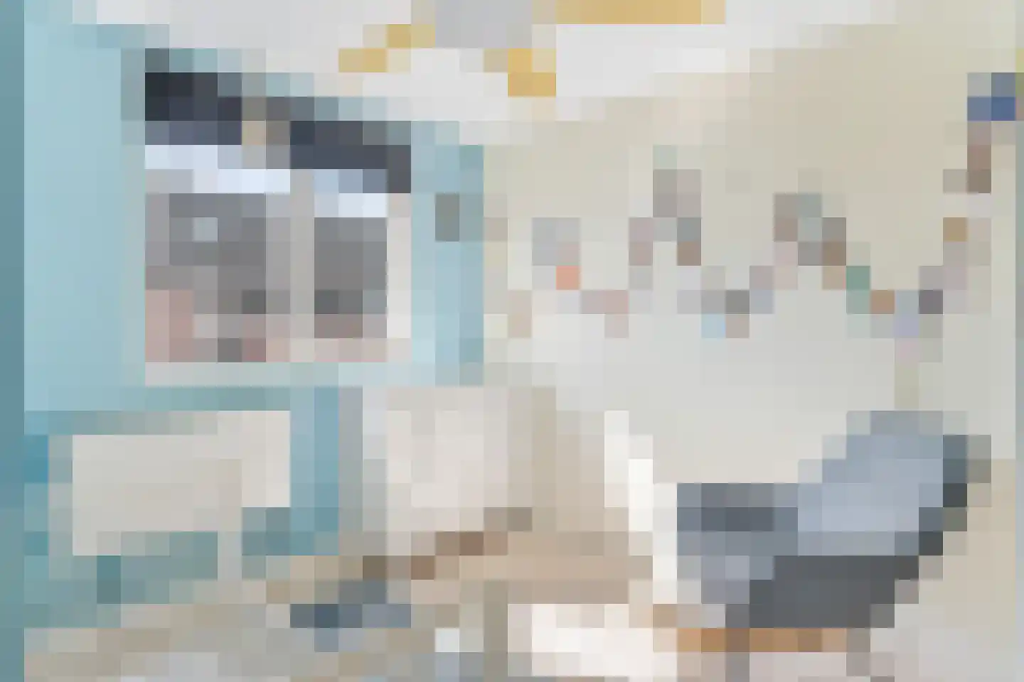 Het Fortuyn 4 Hoogland thumbnail 21