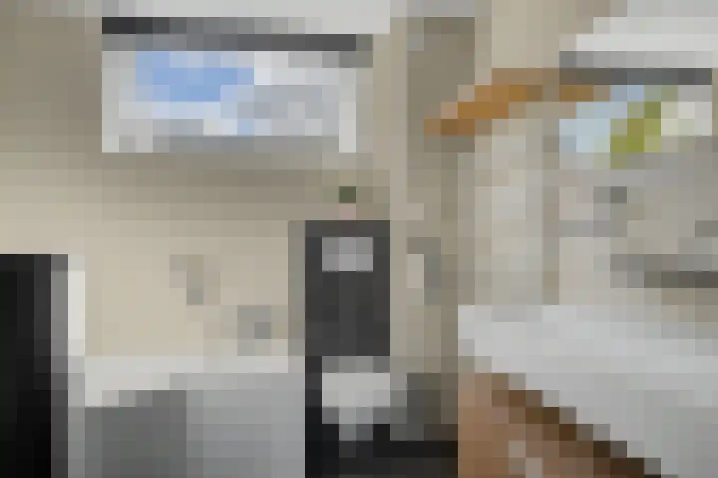 Het Fortuyn 4 Hoogland thumbnail 22