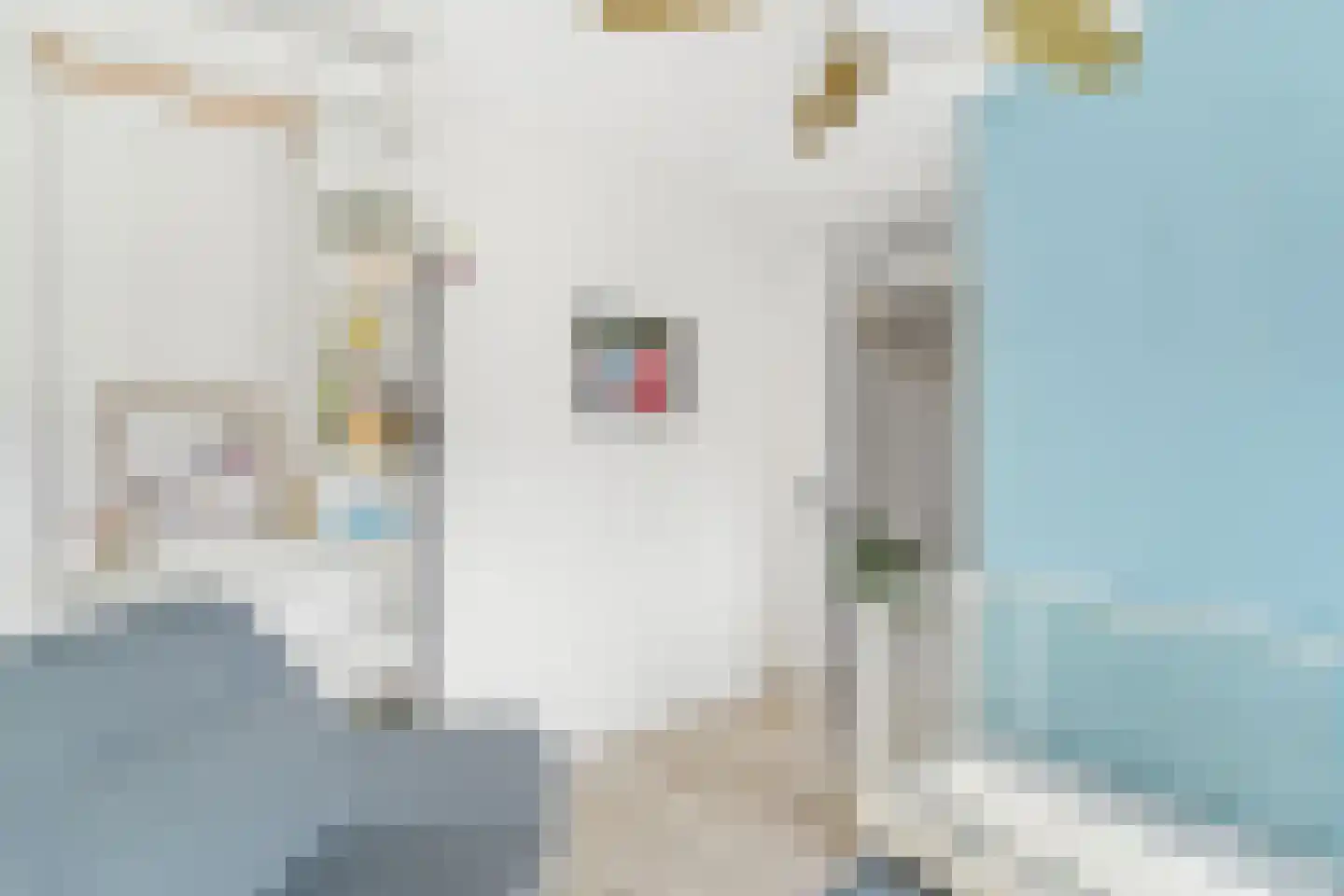 Het Fortuyn 4 Hoogland thumbnail 22
