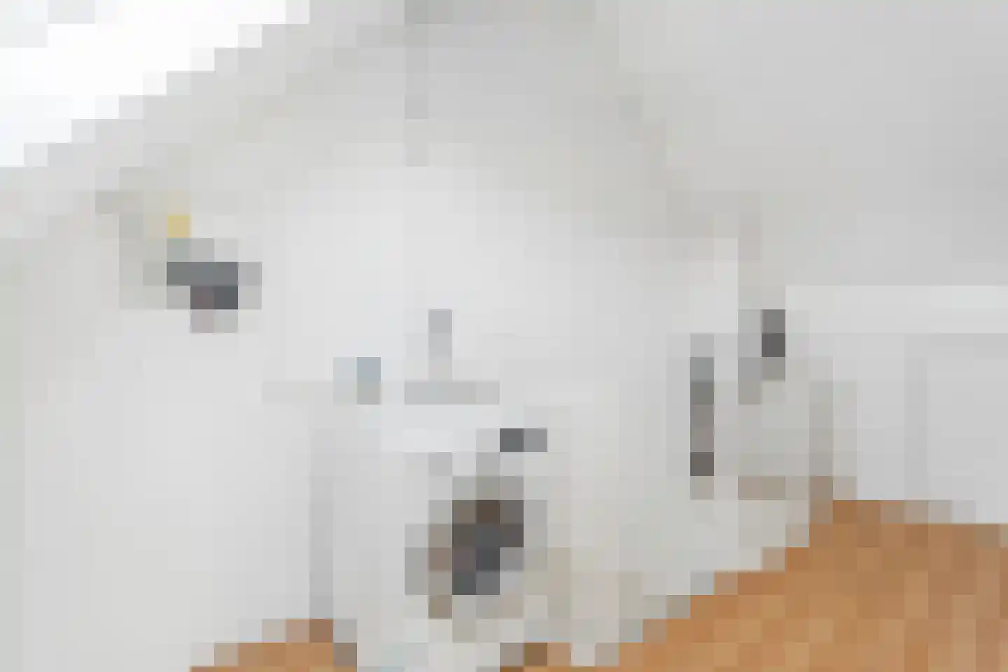 Het Fortuyn 4 Hoogland thumbnail 30