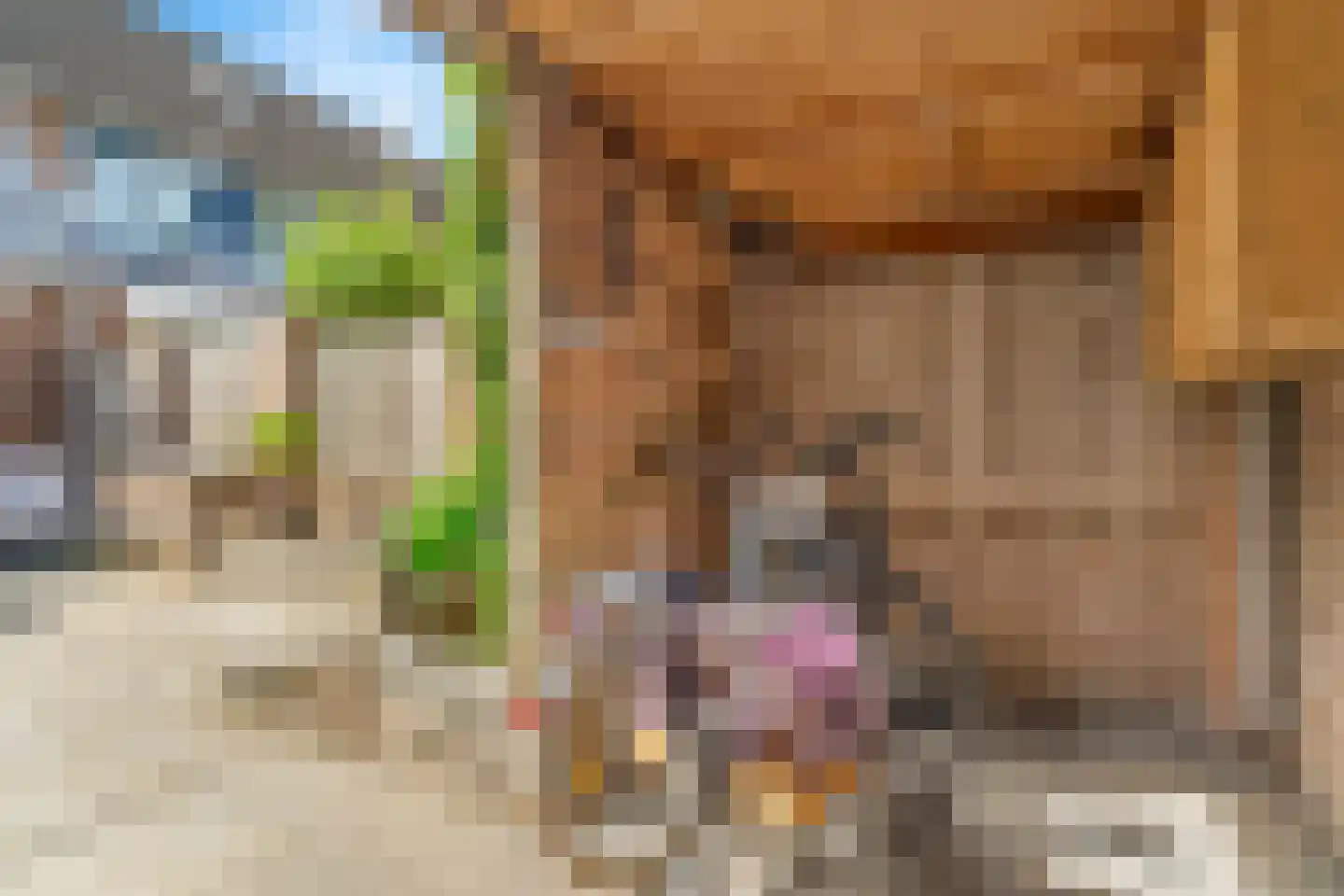 Het Fortuyn 4 Hoogland thumbnail 36