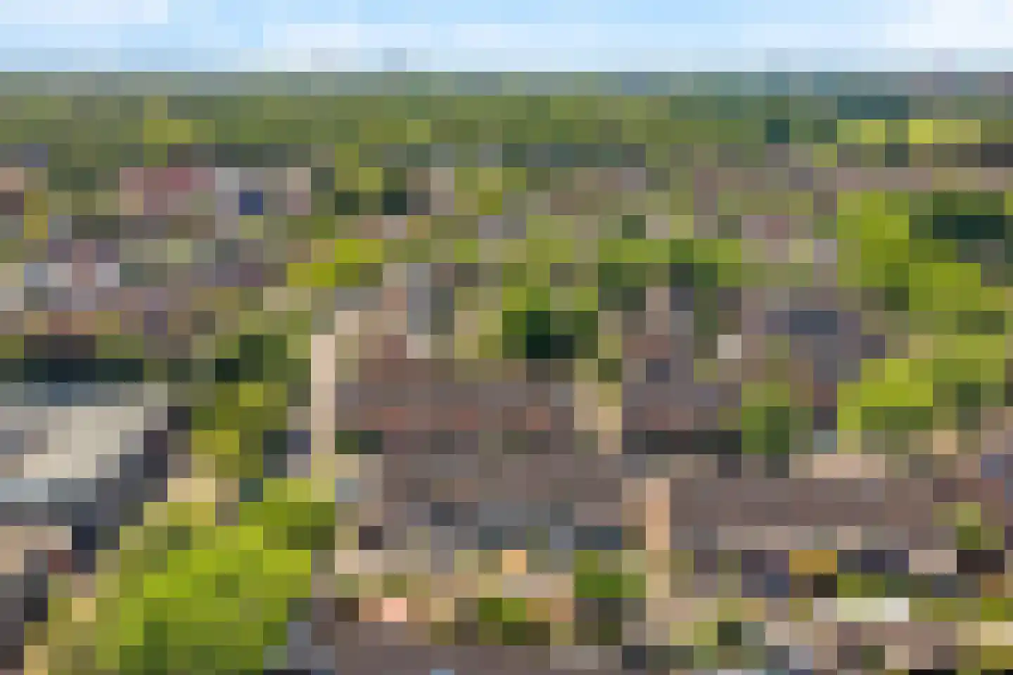 Het Fortuyn 4 Hoogland thumbnail 40