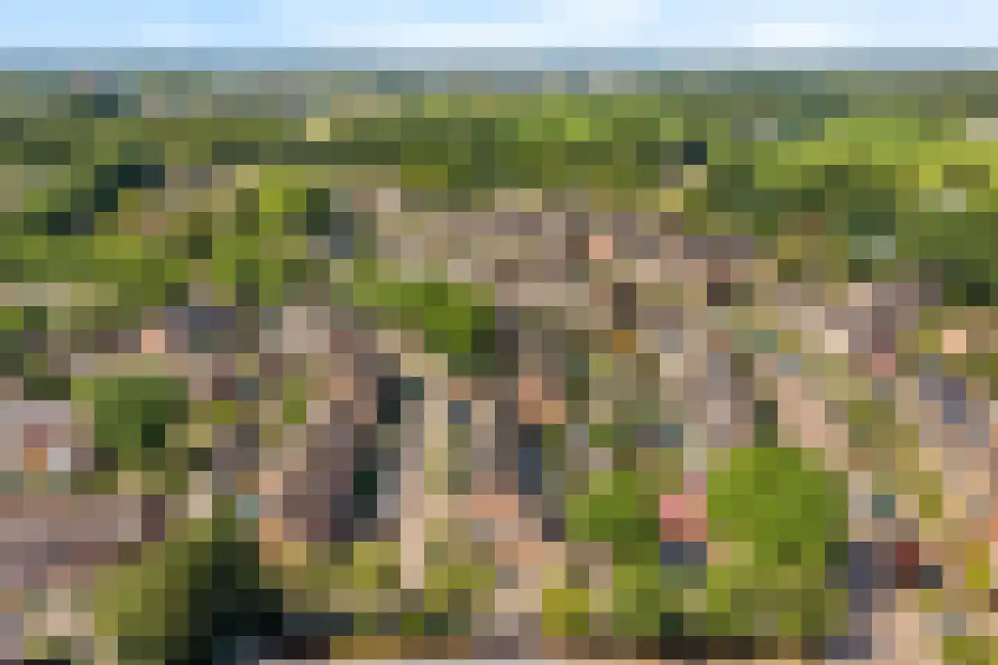 Het Fortuyn 4 Hoogland thumbnail 41