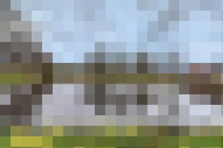 Het Fortuyn 49 Hoogland thumbnail 10