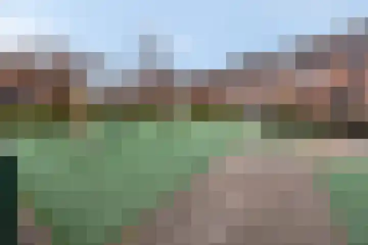 Het Fortuyn 49 Hoogland thumbnail 11