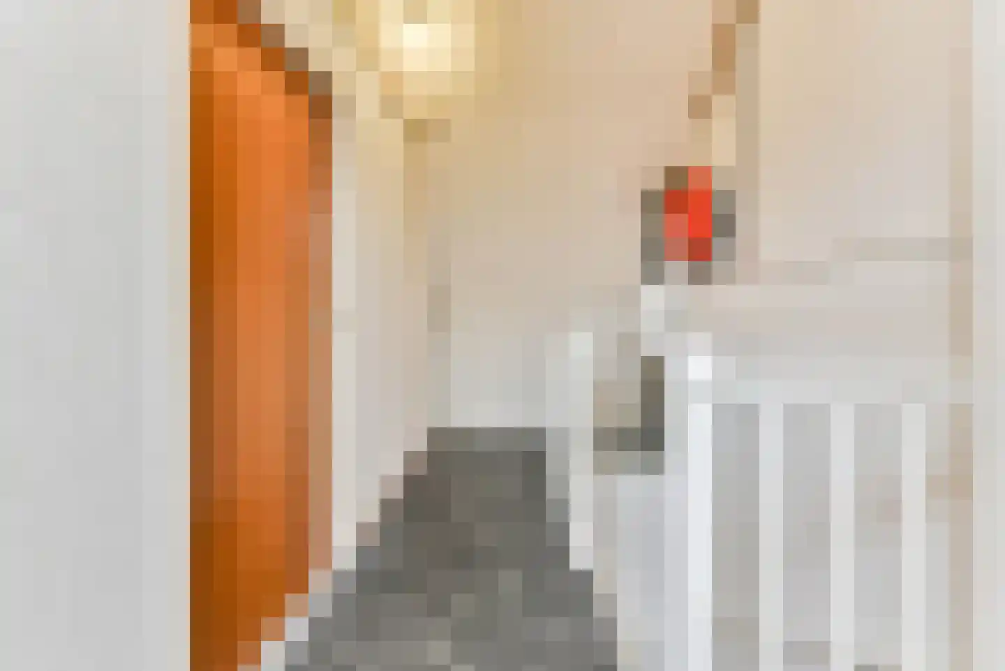 Het Fortuyn 49 Hoogland thumbnail 34