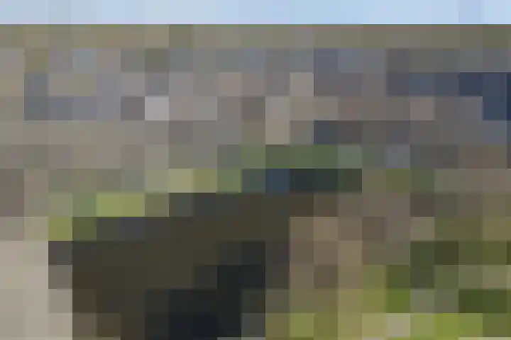 Het Fortuyn 49 Hoogland thumbnail 38