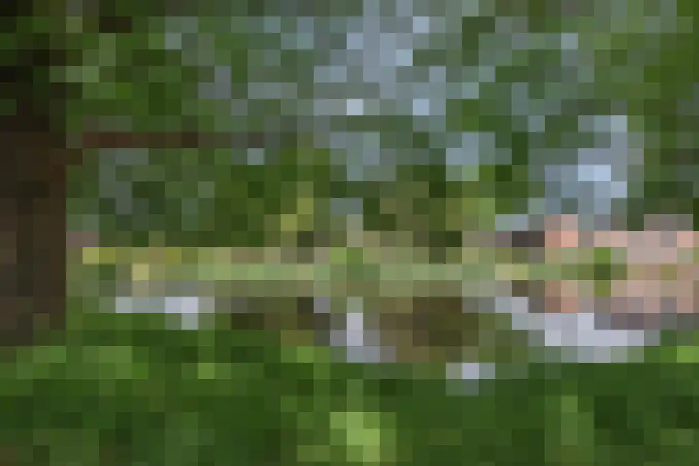 Het Fortuyn 49 Hoogland thumbnail 42