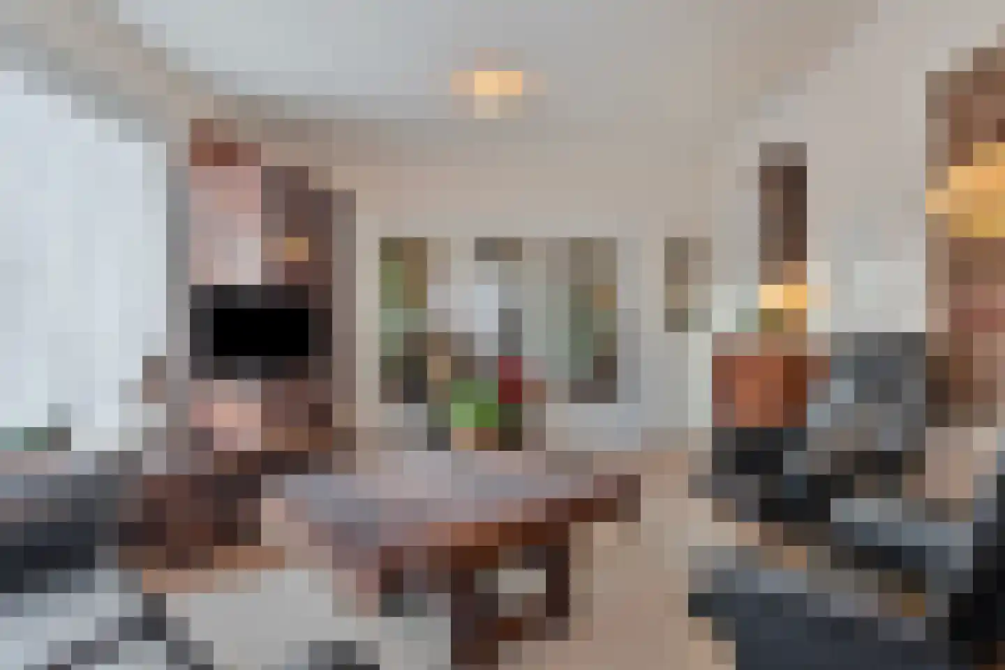 Het Frans Brugske 24 Gemert thumbnail 17
