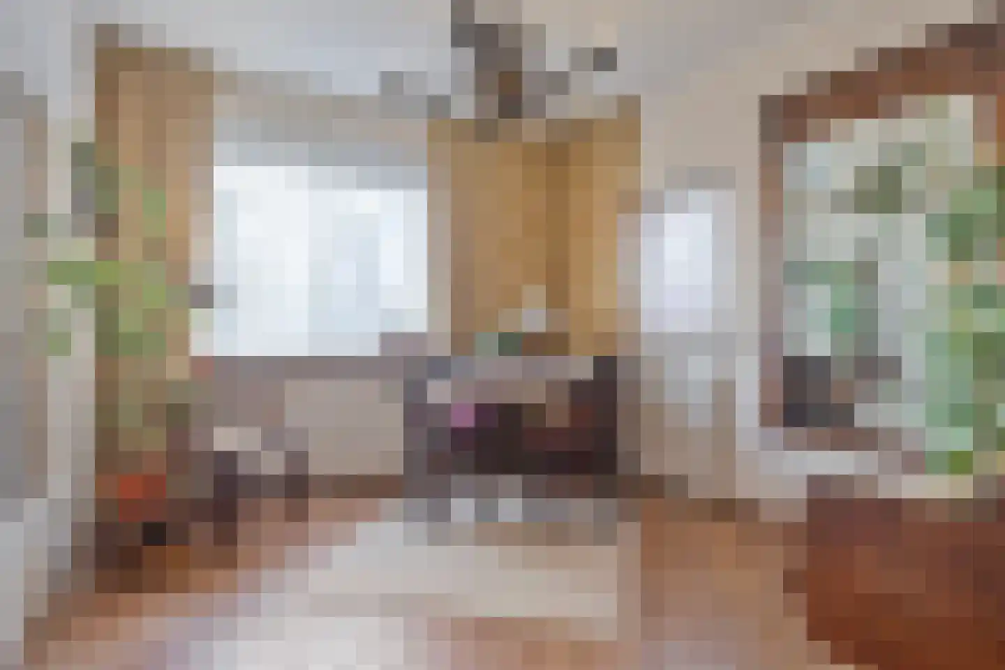 Het Frans Brugske 24 Gemert thumbnail 19