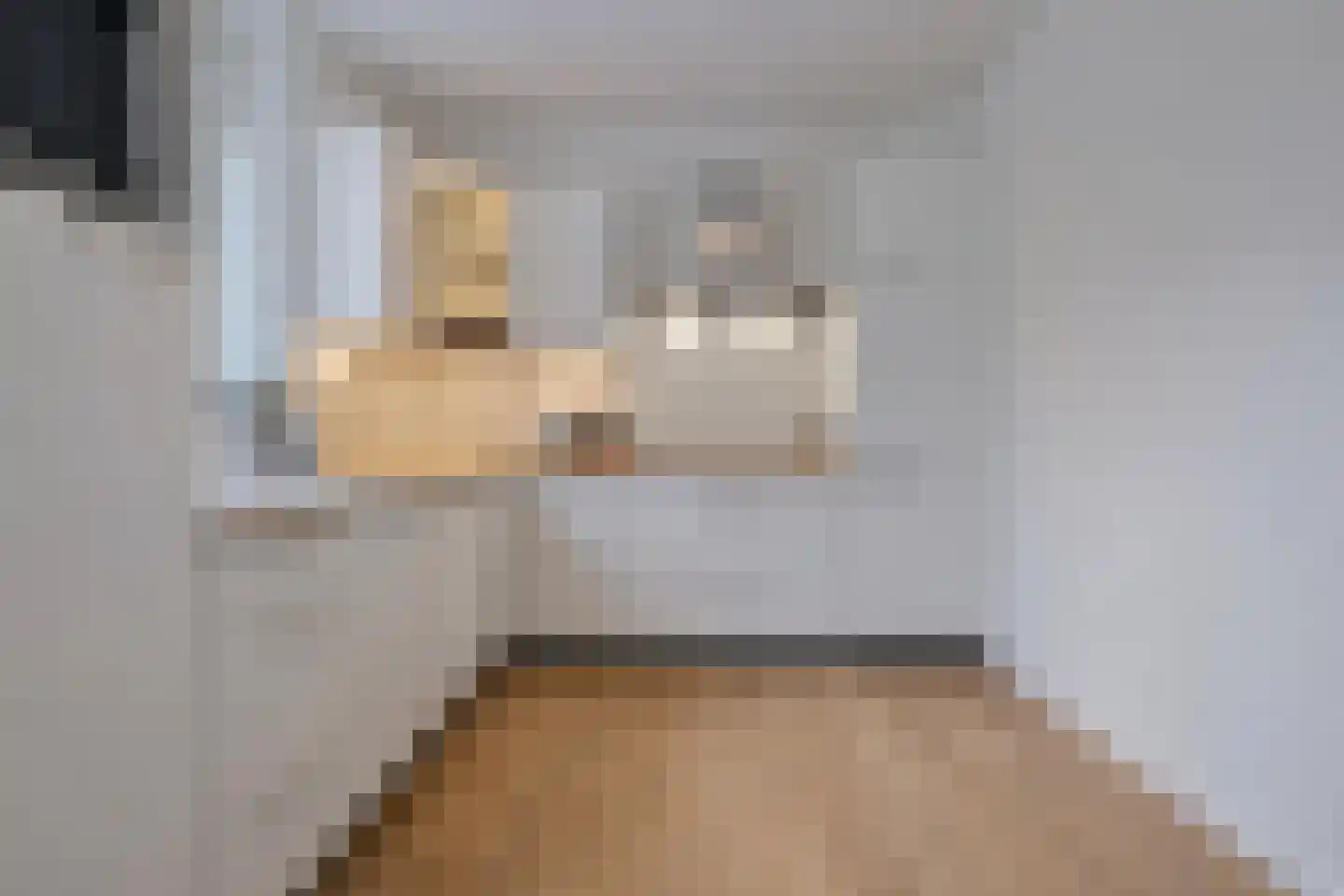 Het Frans Brugske 24 Gemert thumbnail 23