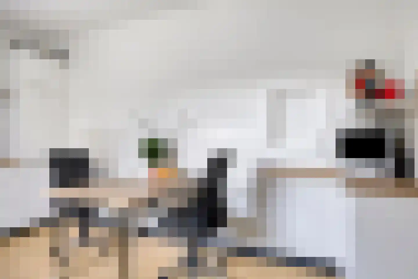 Het Frans Brugske 24 Gemert thumbnail 25