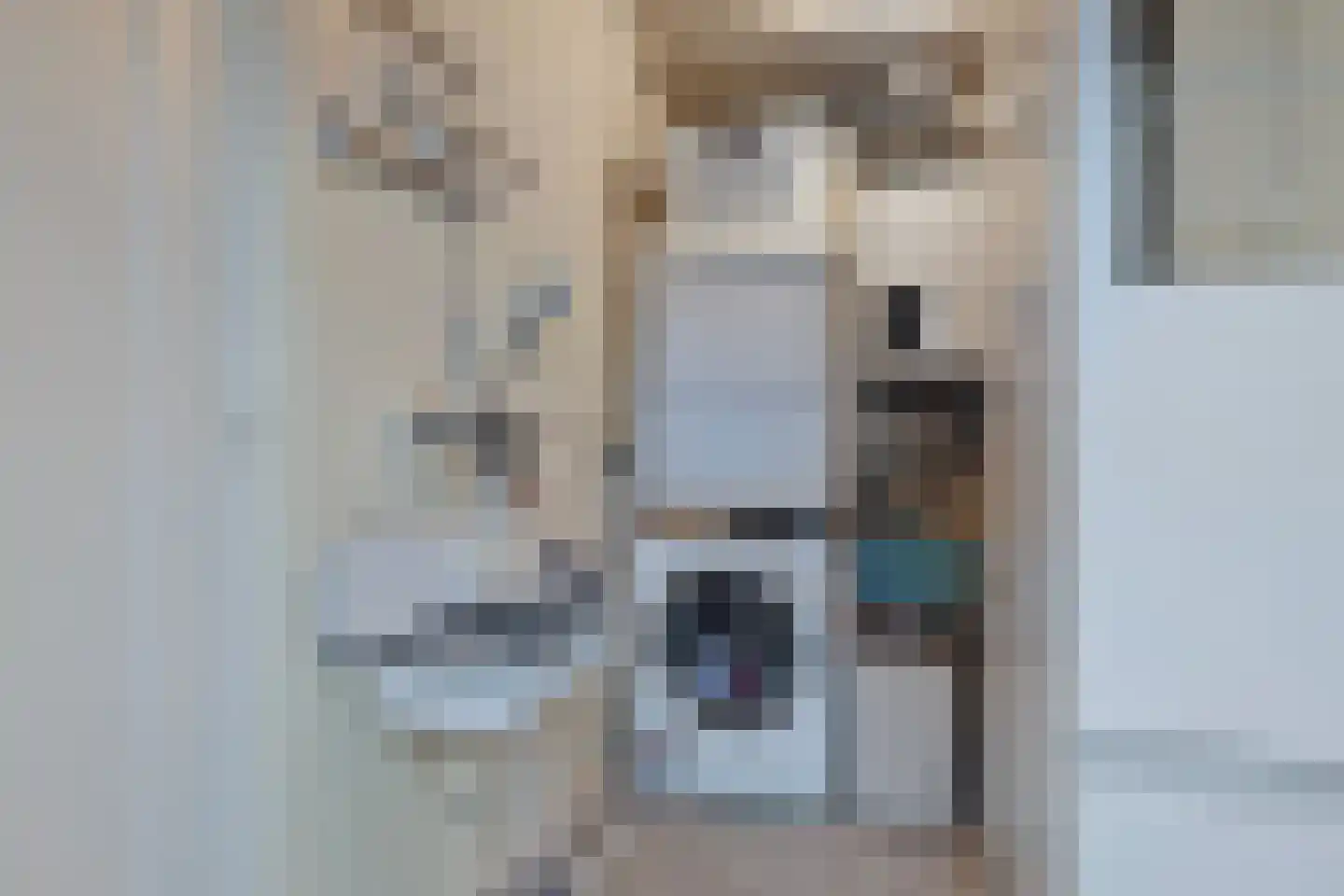 Het Frans Brugske 24 Gemert thumbnail 26