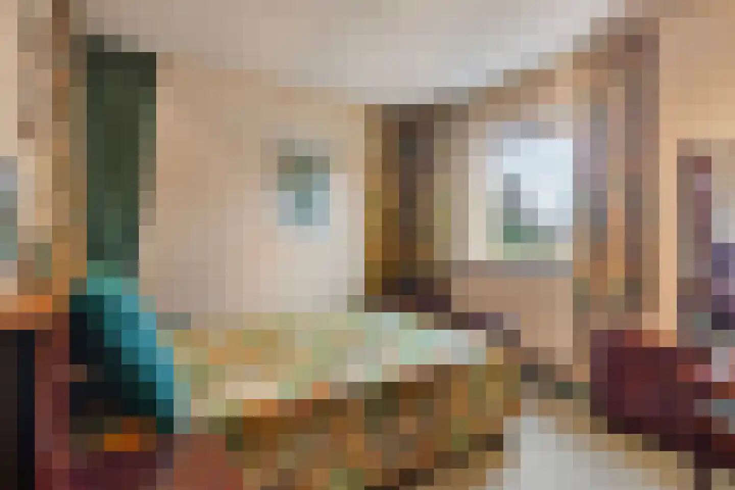 Het Frans Brugske 24 Gemert thumbnail 34