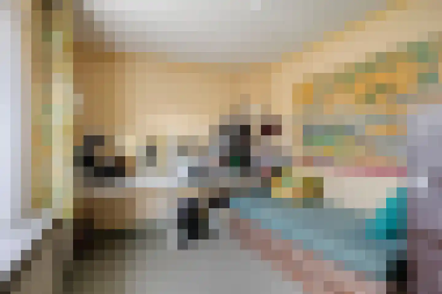 Het Frans Brugske 24 Gemert thumbnail 37