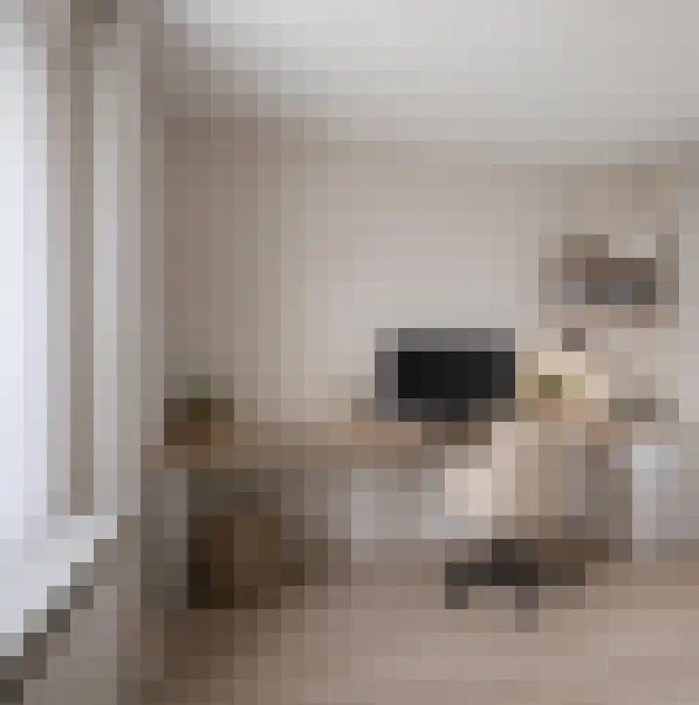 Het Frans Brugske 24 Gemert thumbnail 38