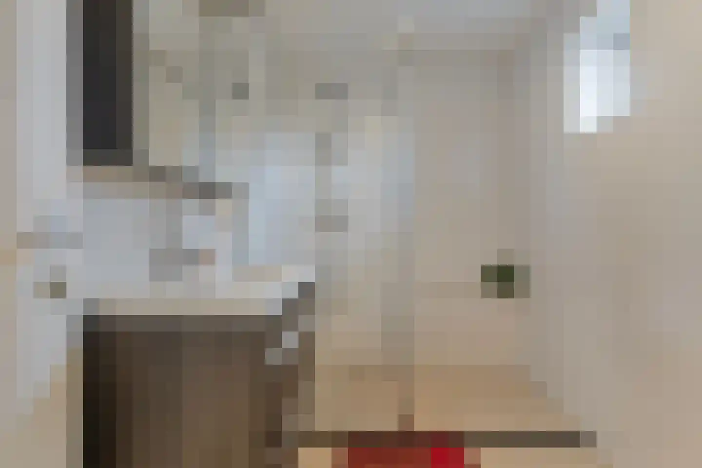 Het Frans Brugske 24 Gemert thumbnail 40