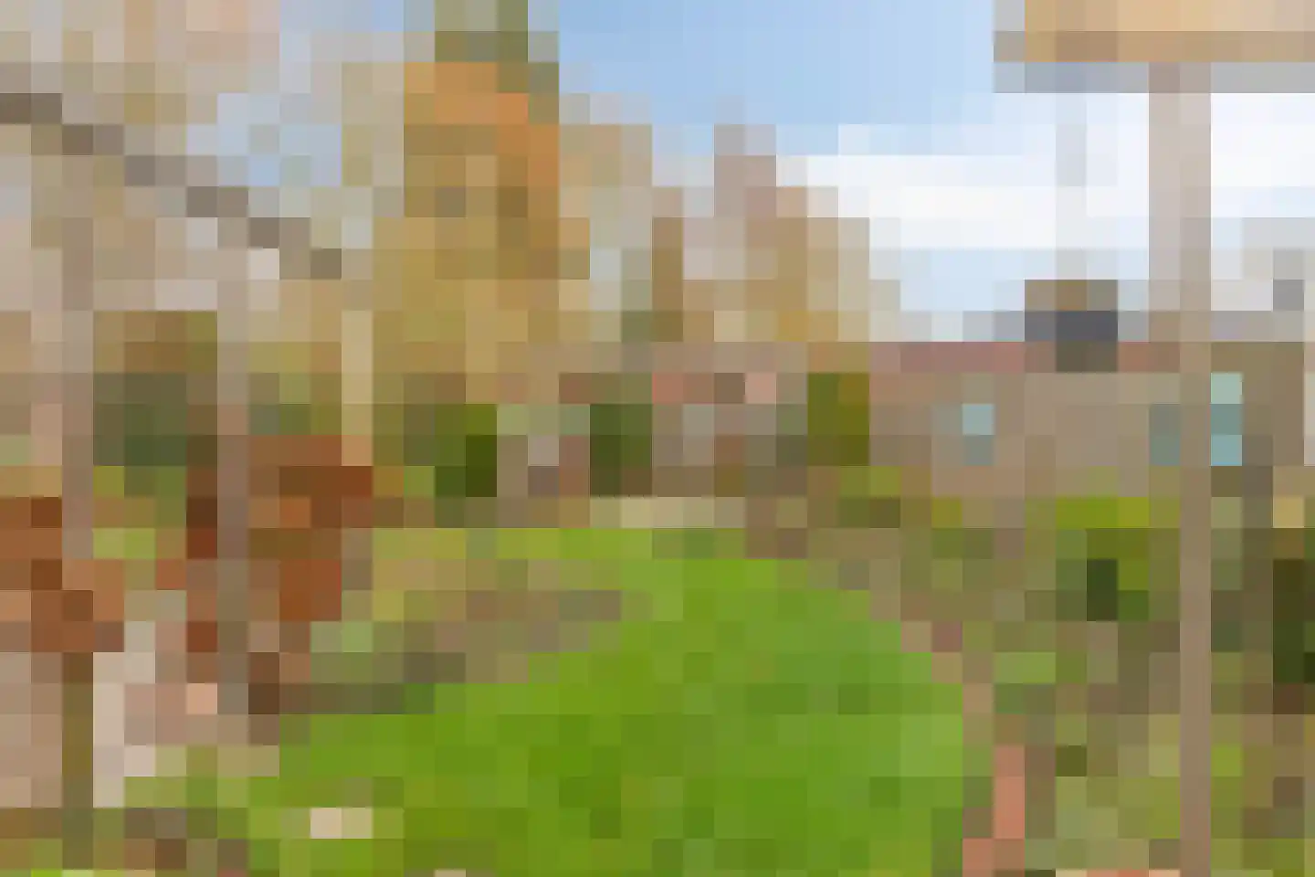 Het Frans Brugske 24 Gemert thumbnail 46
