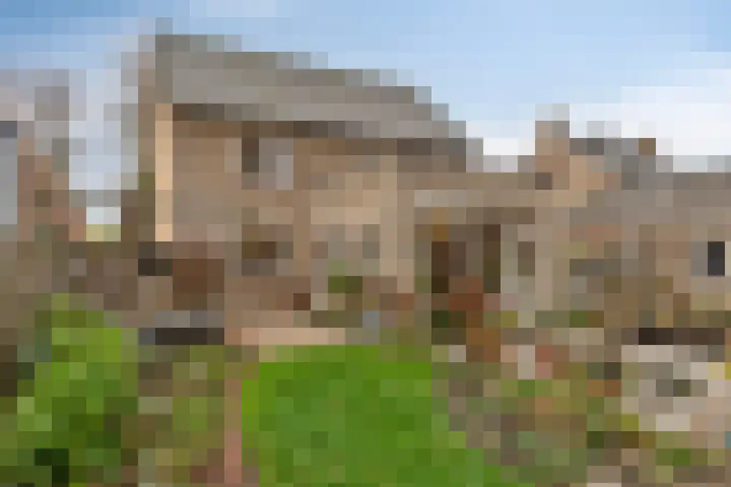 Het Frans Brugske 24 Gemert thumbnail 51