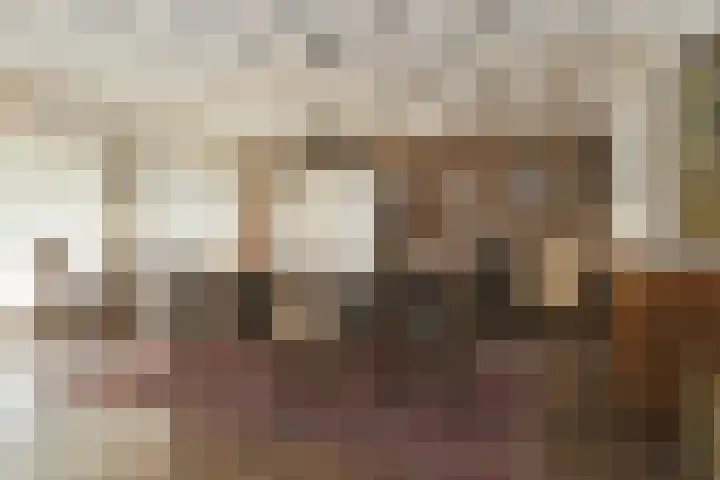 Het Frans Brugske 7 Gemert thumbnail 11