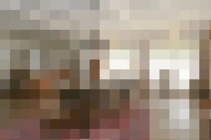 Het Frans Brugske 7 Gemert thumbnail 12