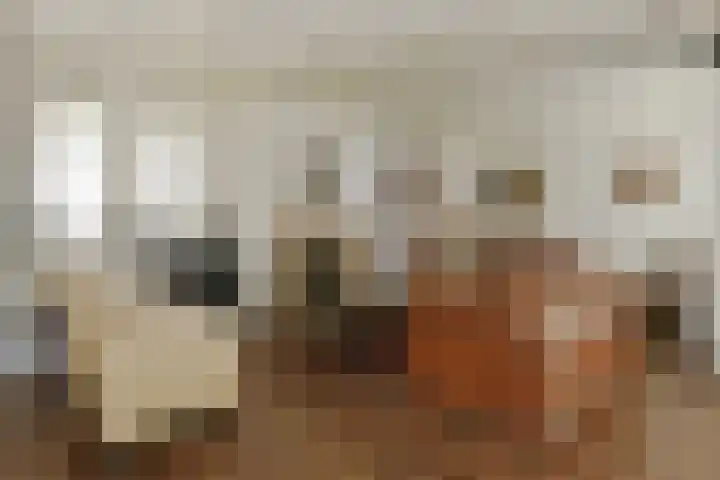 Het Frans Brugske 7 Gemert thumbnail 13