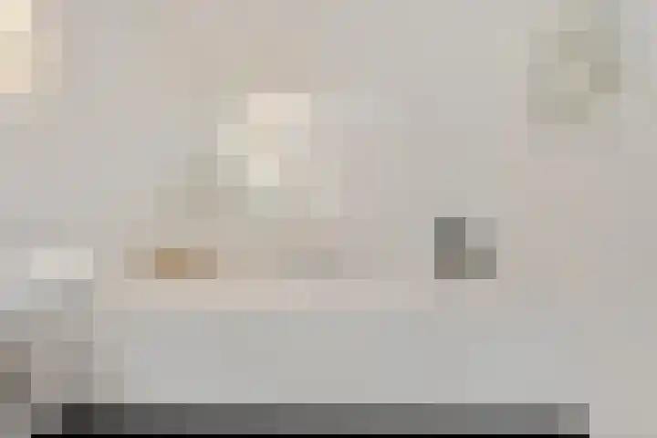 Het Frans Brugske 7 Gemert thumbnail 25