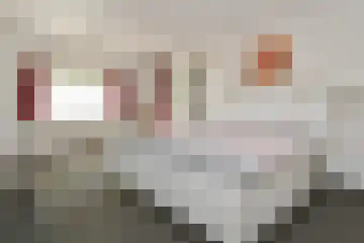 Het Frans Brugske 7 Gemert foto 3