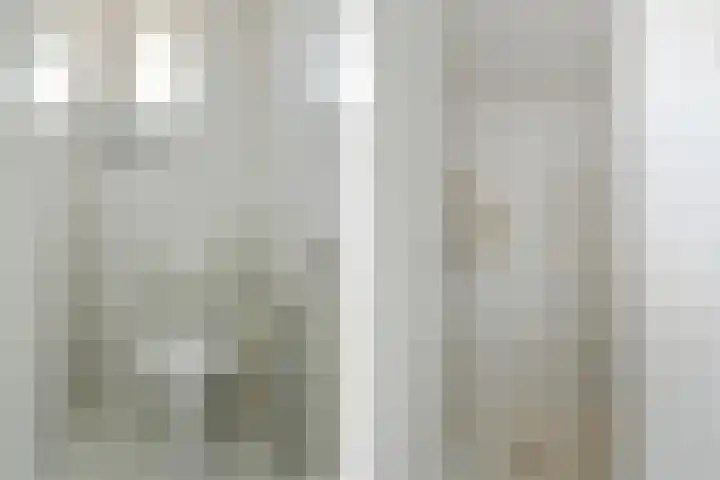 Het Frans Brugske 7 Gemert thumbnail 34