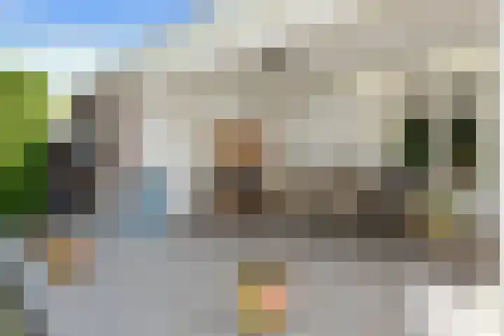 Het Frans Brugske 7 Gemert thumbnail 35