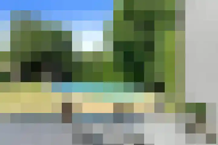 Het Frans Brugske 7 Gemert thumbnail 37