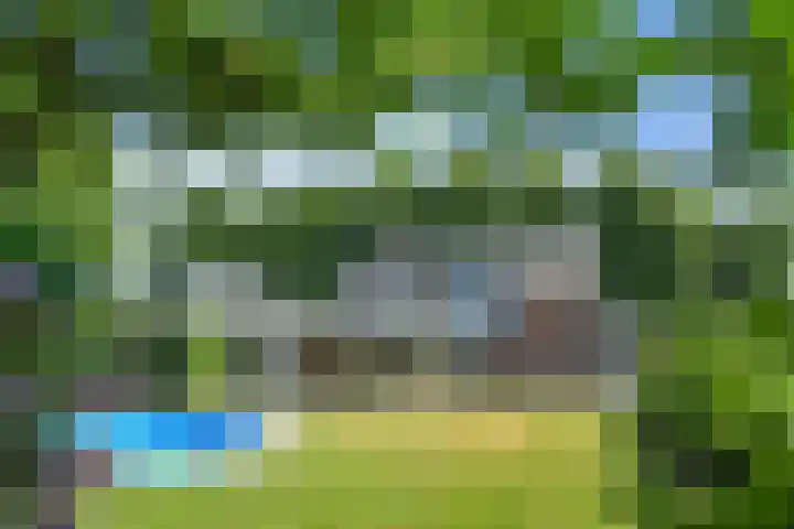 Het Frans Brugske 7 Gemert thumbnail 4