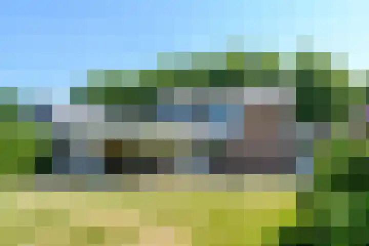 Het Frans Brugske 7 Gemert thumbnail 41