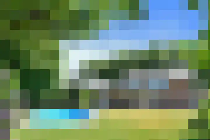 Het Frans Brugske 7 Gemert thumbnail 42