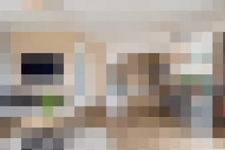 Het Franse Pad 13 Vollenhove thumbnail 14
