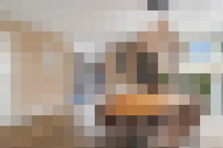 Het Franse Pad 13 Vollenhove thumbnail 18