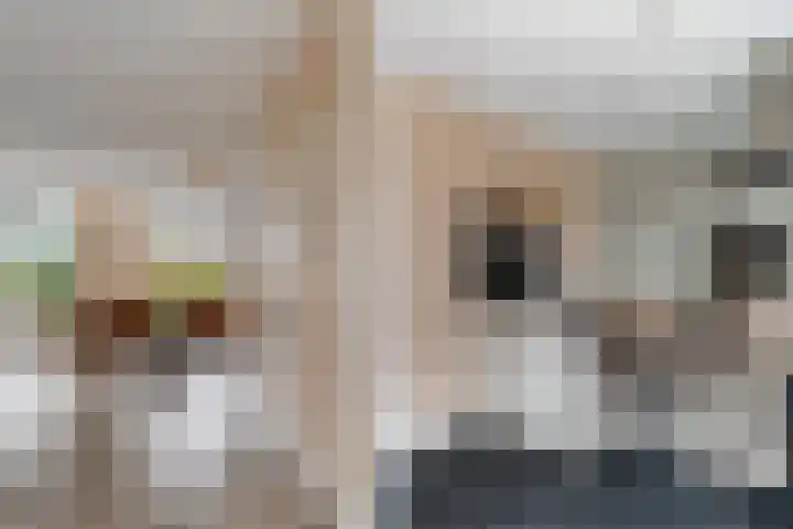 Het Franse Pad 13 Vollenhove thumbnail 20
