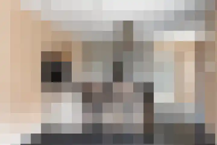 Het Franse Pad 13 Vollenhove thumbnail 21