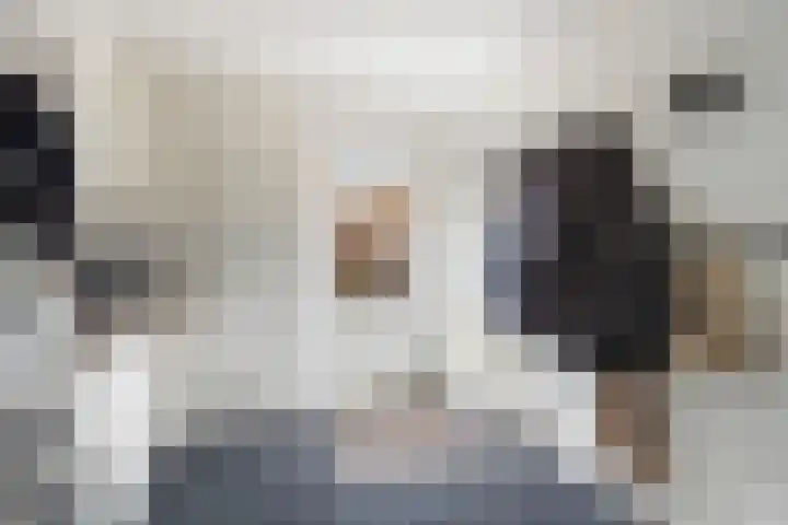 Het Franse Pad 13 Vollenhove thumbnail 24