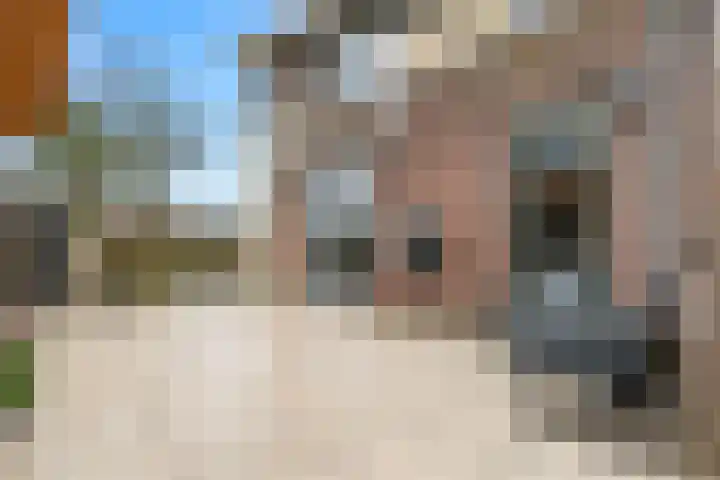 Het Franse Pad 13 Vollenhove thumbnail 26